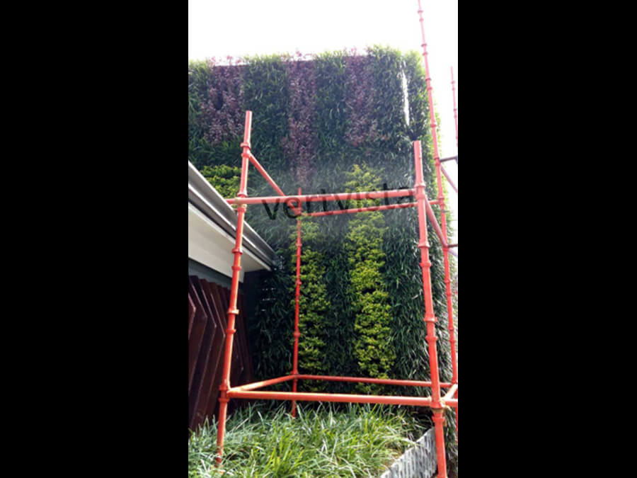 vertical garden DIY